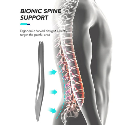 Heavy-Duty Lumbar Support Back Brace